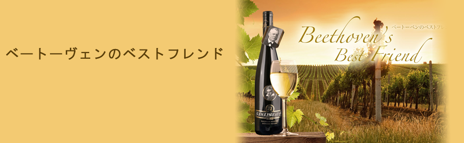 ベルリン・フィルハーモニー管弦楽団 アーノンクールのシューベル