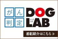 DOG LAB